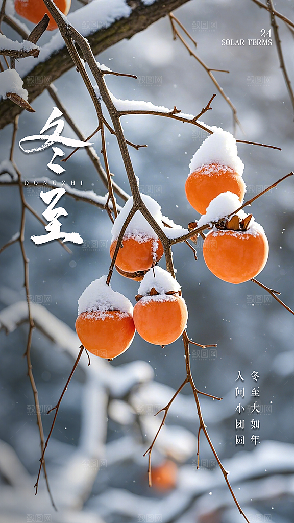 冬至大气简约插画节日节气唯美海报
