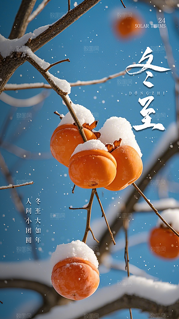 冬至大气简约插画节日节气唯美海报