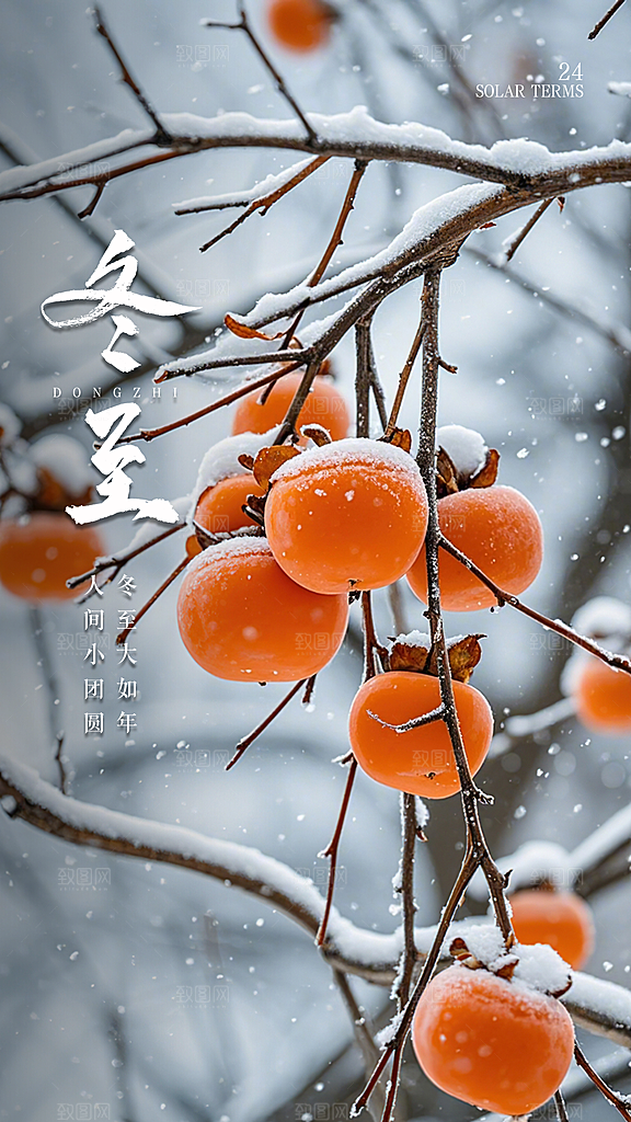 冬至大气简约插画节日节气唯美海报