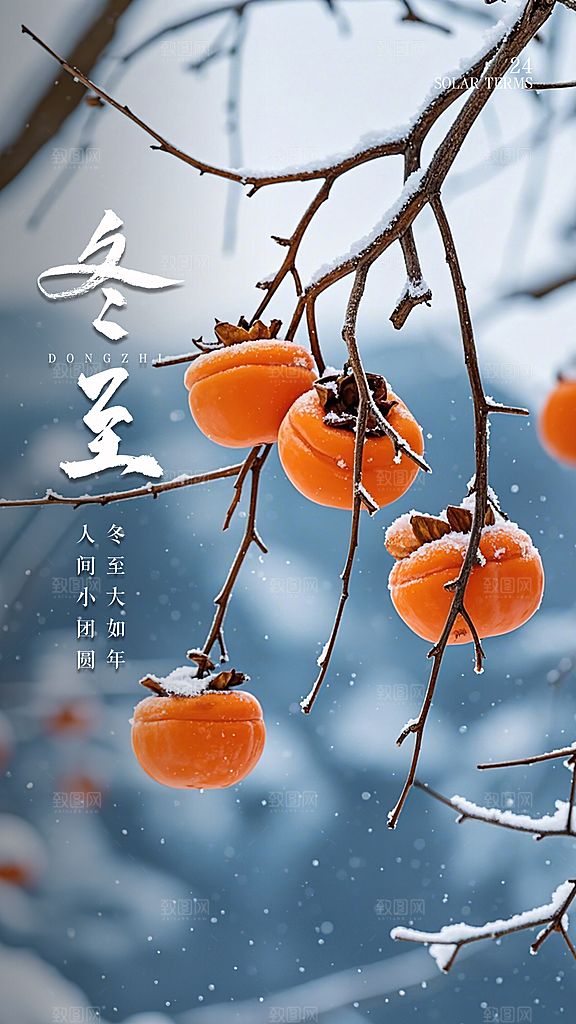 冬至大气简约插画节日节气唯美海报