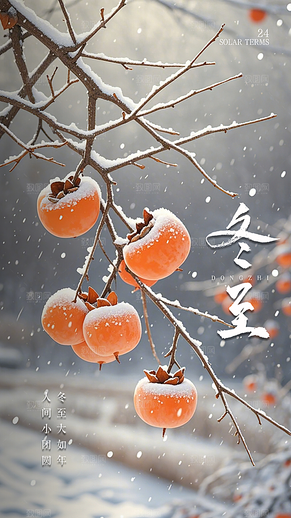 冬至唯美插画节气简约大气节日海报