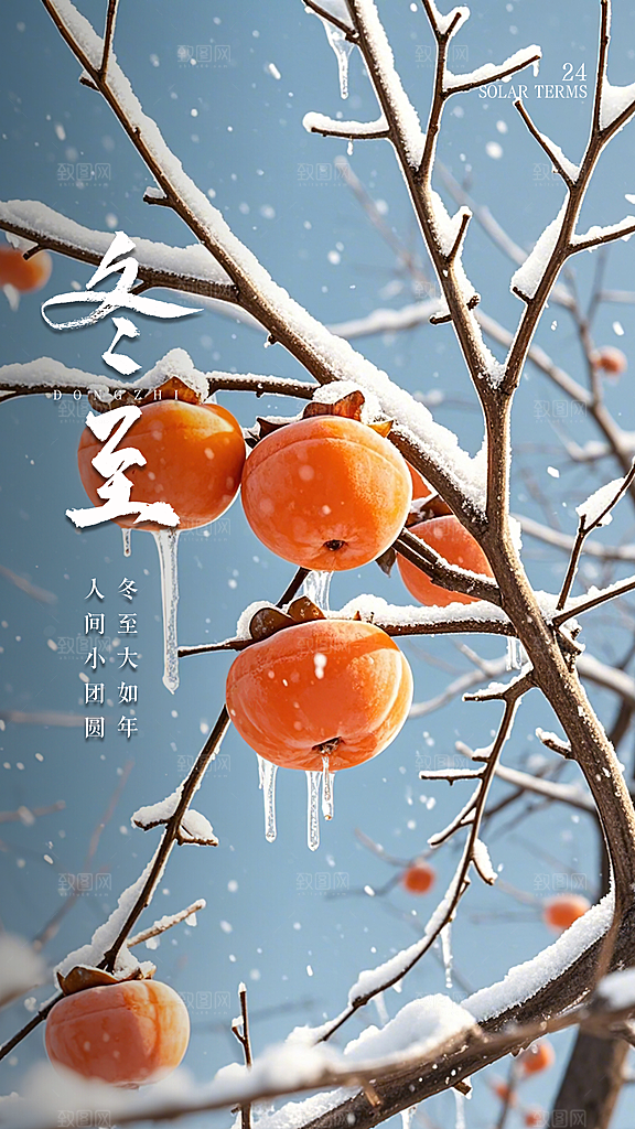 冬至唯美插画节气简约大气节日海报