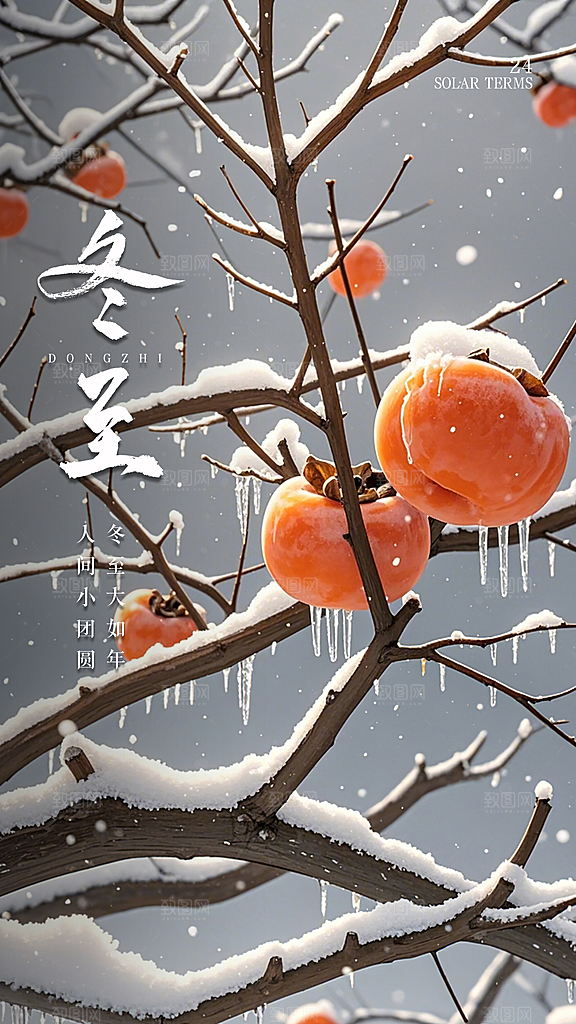 冬至唯美插画节气简约大气节日海报