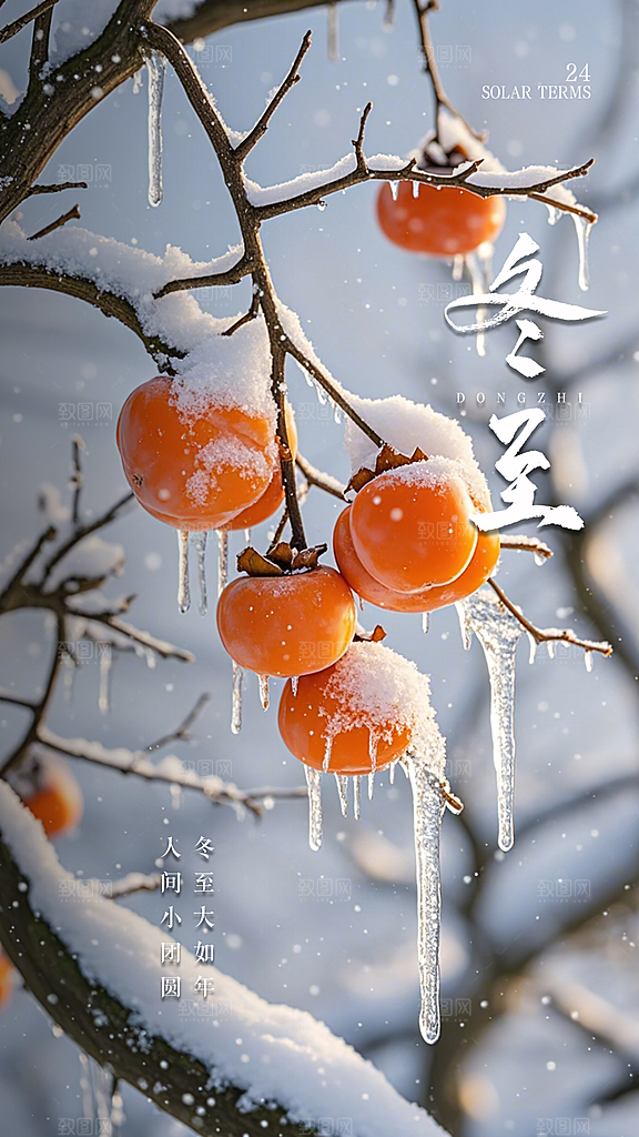 冬至唯美插画节气简约大气节日海报