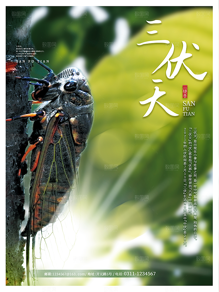 大暑节气简约大气海报