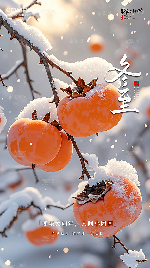 冬至唯美大气简约节日节气插画海报