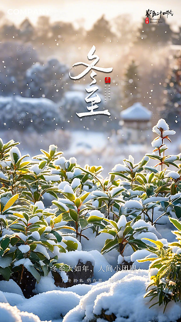 冬至唯美大气节日简约节气插画海报