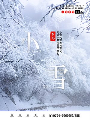 传统节气小雪海报模板