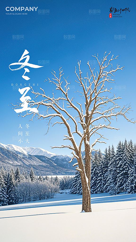冬至插画节日简约大气唯美节气海报