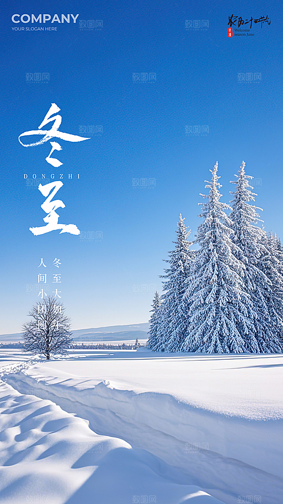 冬至大气节日插画唯美简约节气海报