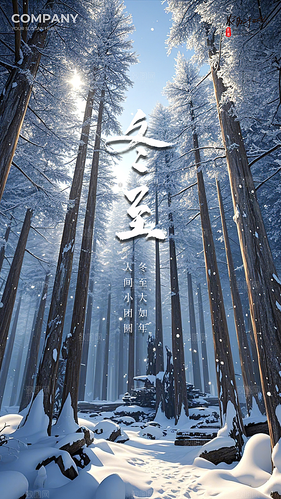 冬至唯美插画节日简约节气大气海报