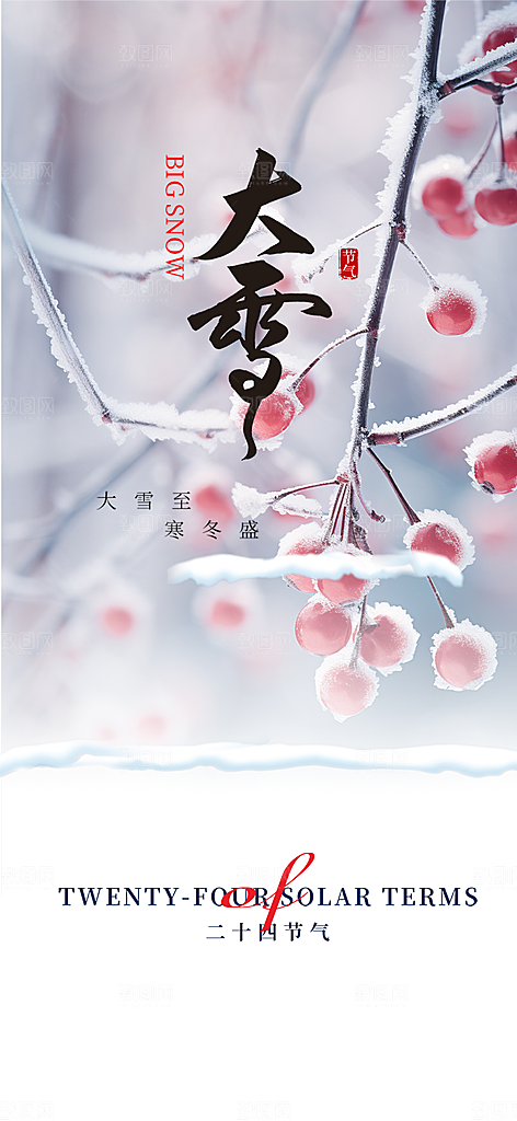 传统二十四节气大雪宣传活动海报