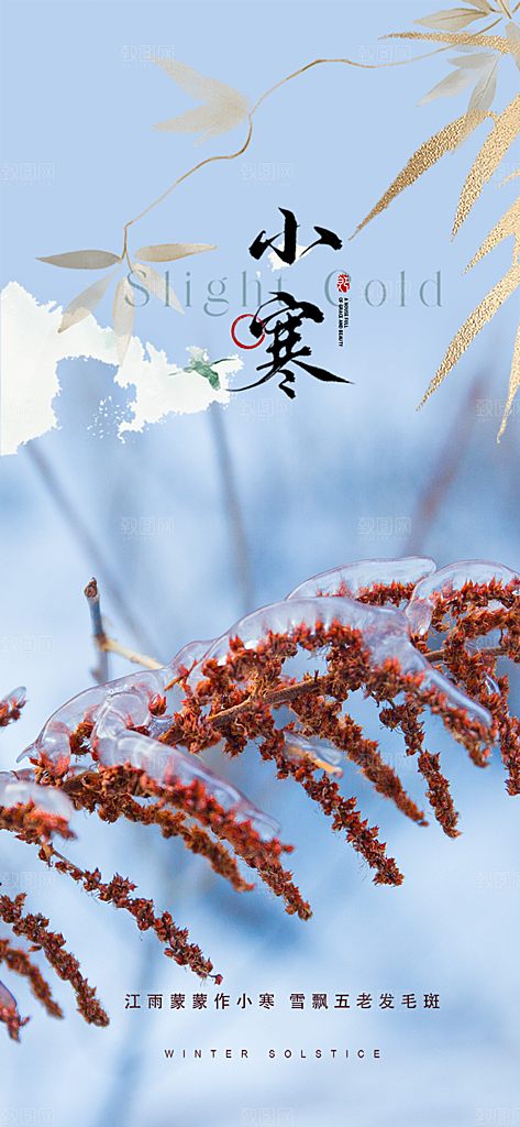 二十四节气小寒宣传活动海报