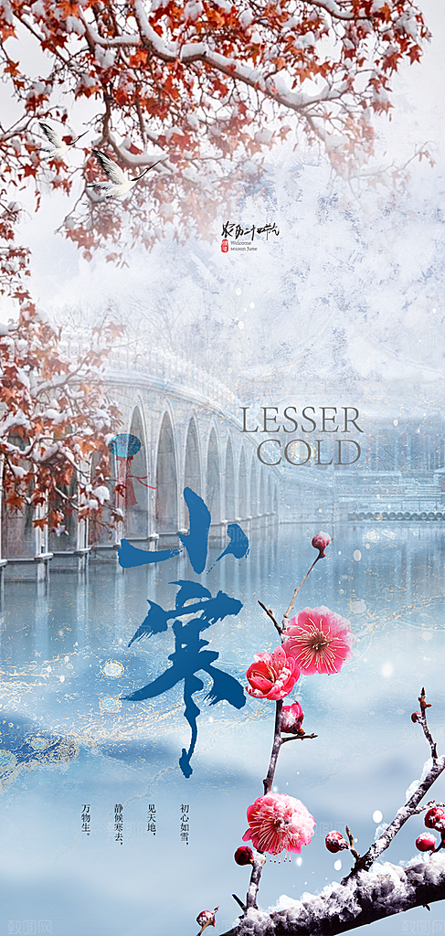 二十四节气小寒宣传活动海报