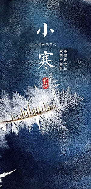 二十四节气小寒宣传活动海报