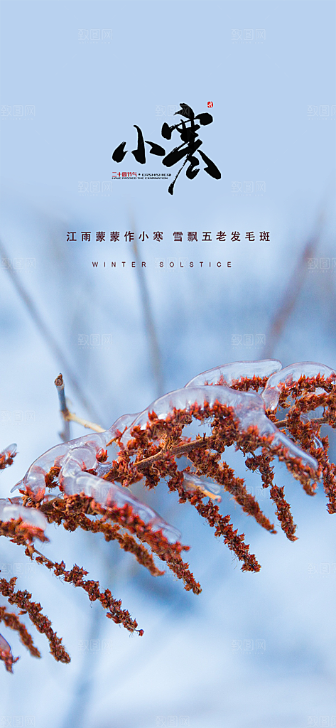 传统二十四节气小寒宣传活动海报