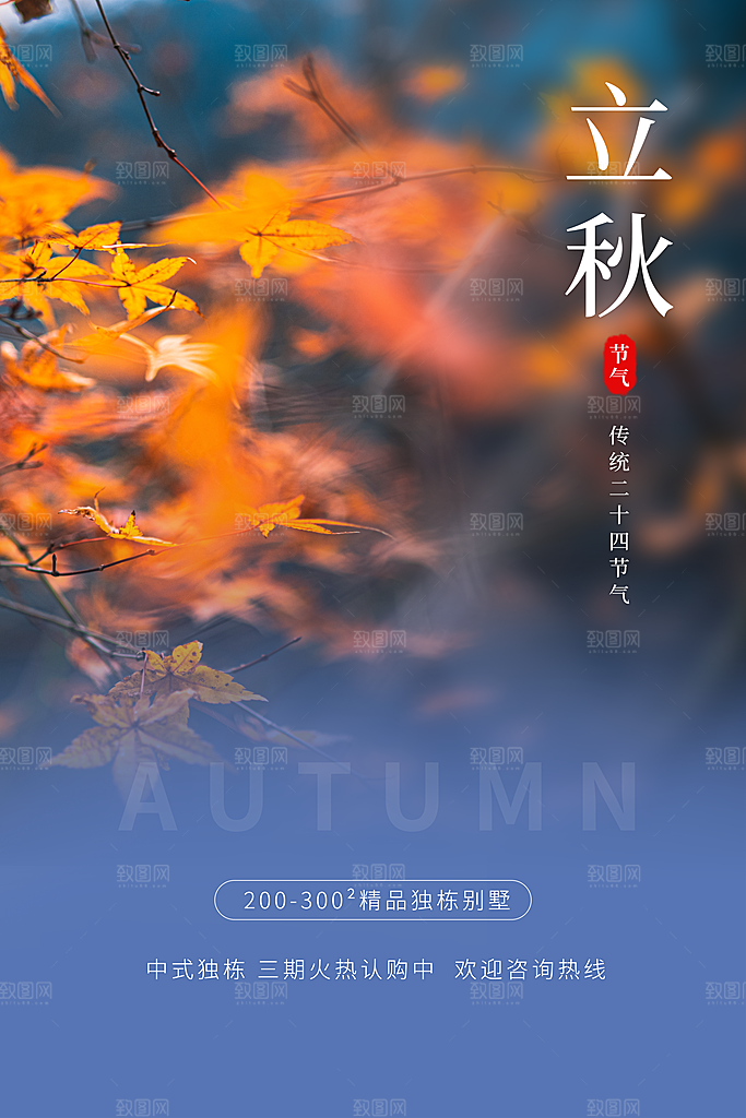 秋分节气简约大气海报