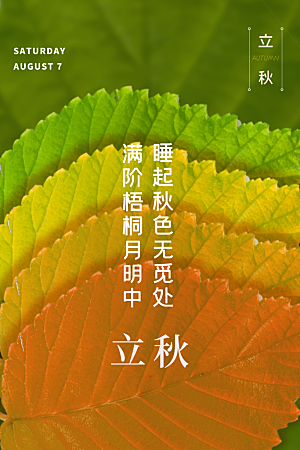 秋分节气简约大气海报