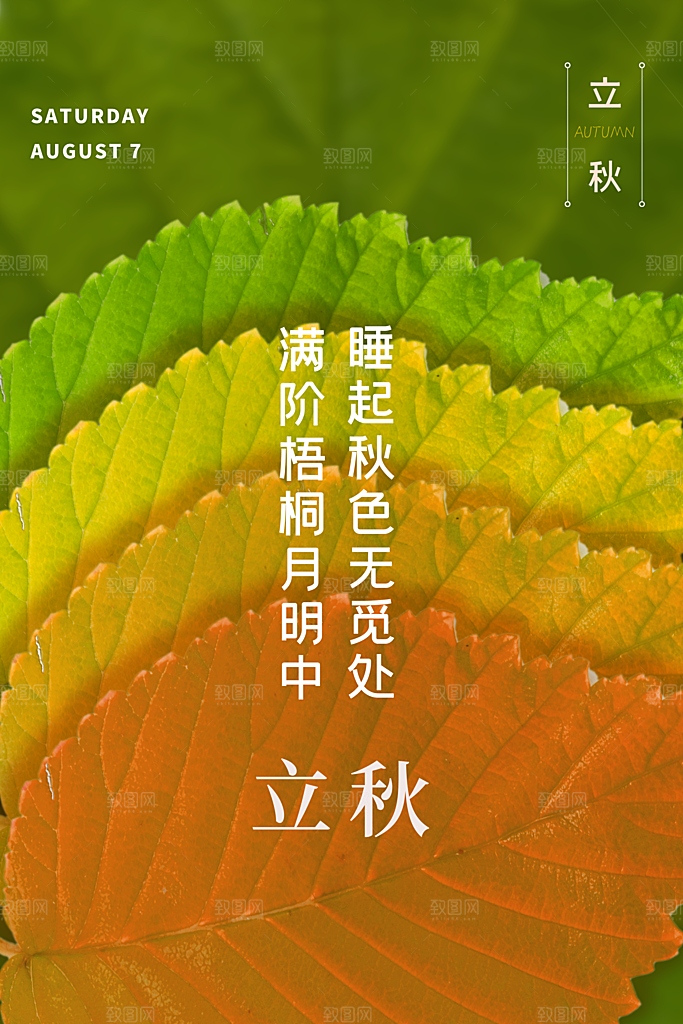 秋分节气简约大气海报
