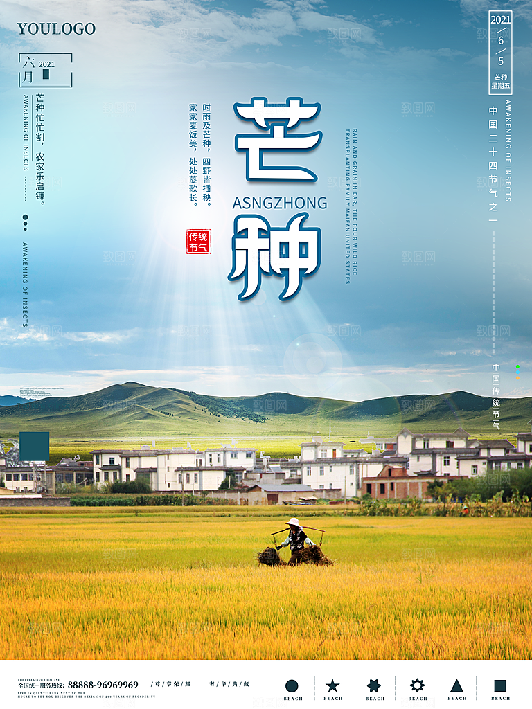 芒种节气简约大气海报