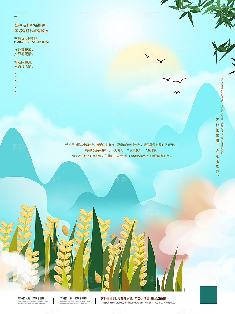 芒种节气简约大气海报