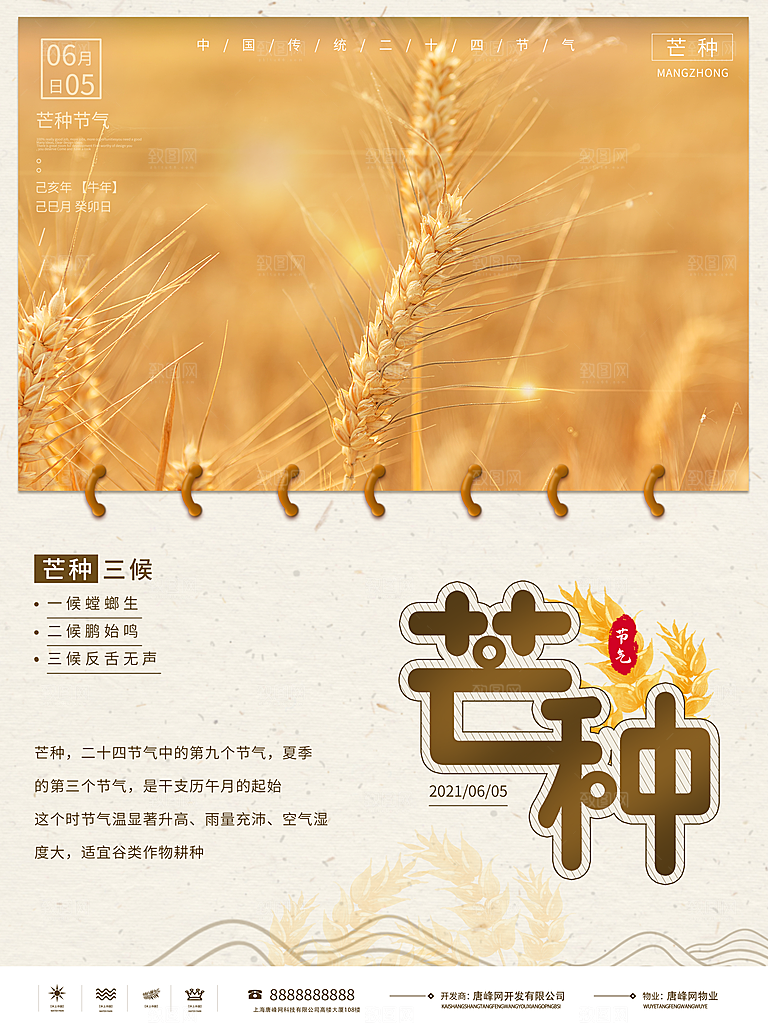 芒种节气简约大气海报