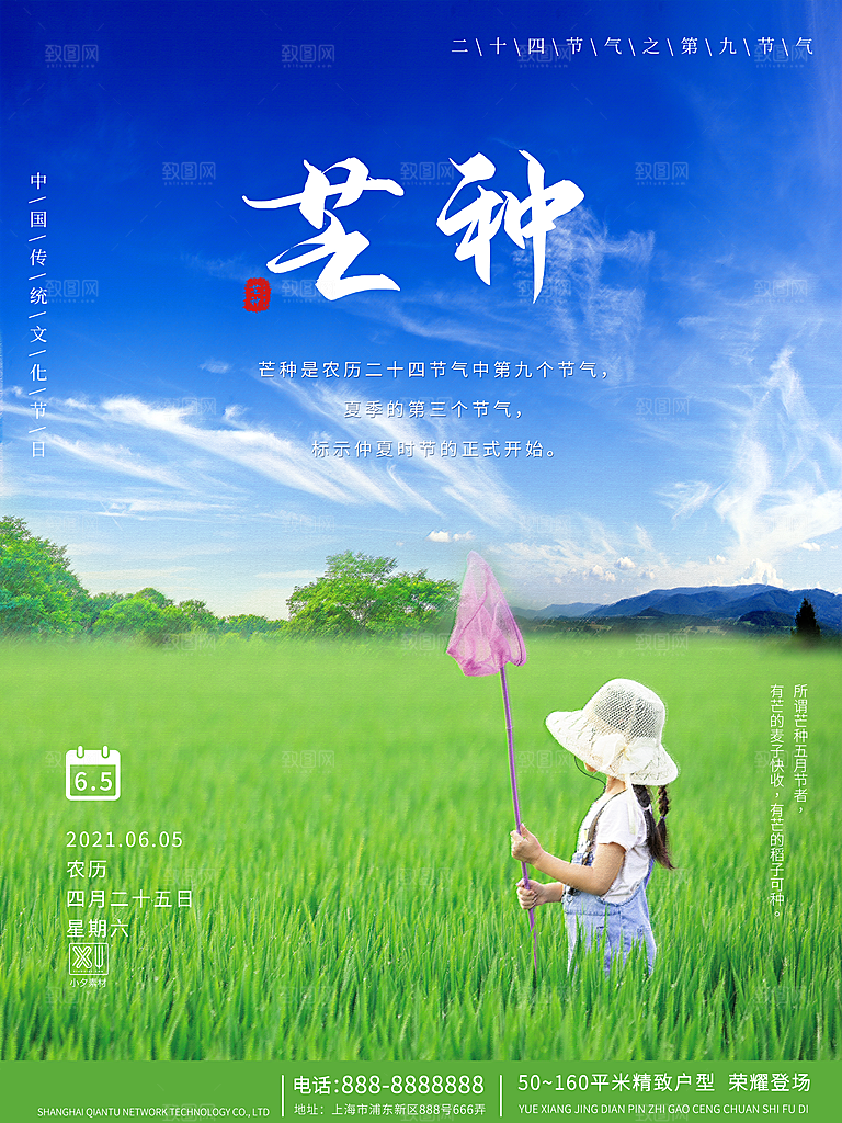 芒种节气简约大气海报