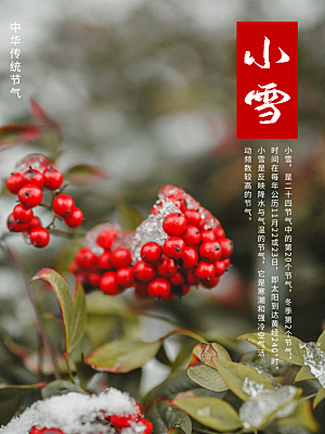 小雪节气简约大气海报