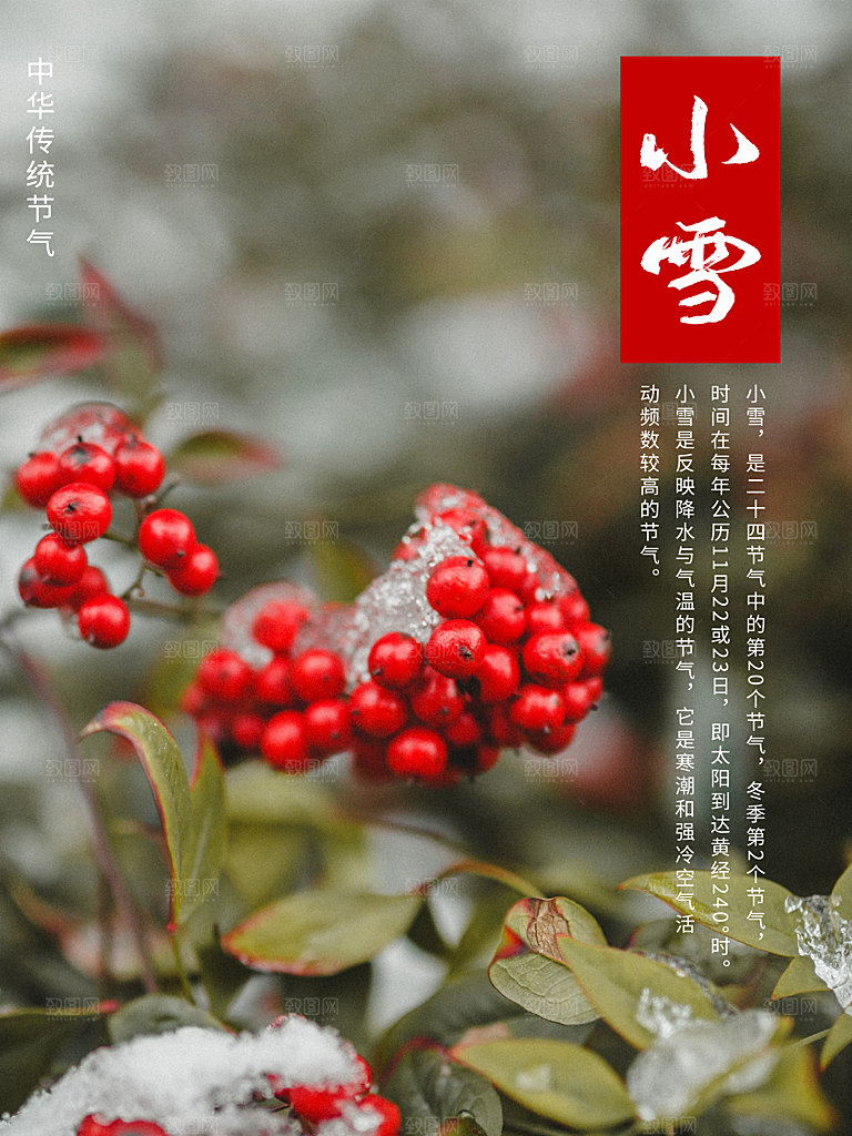 小雪节气简约大气海报