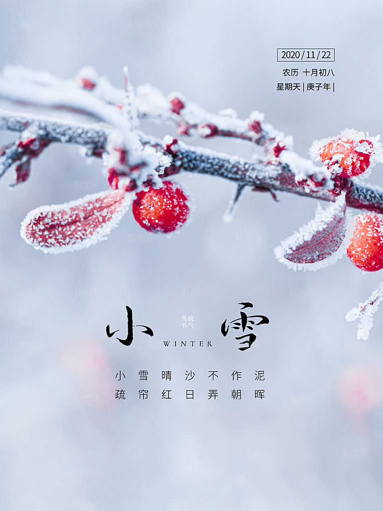 小雪节气简约大气海报