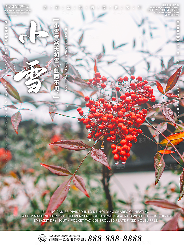 小雪节气简约大气海报