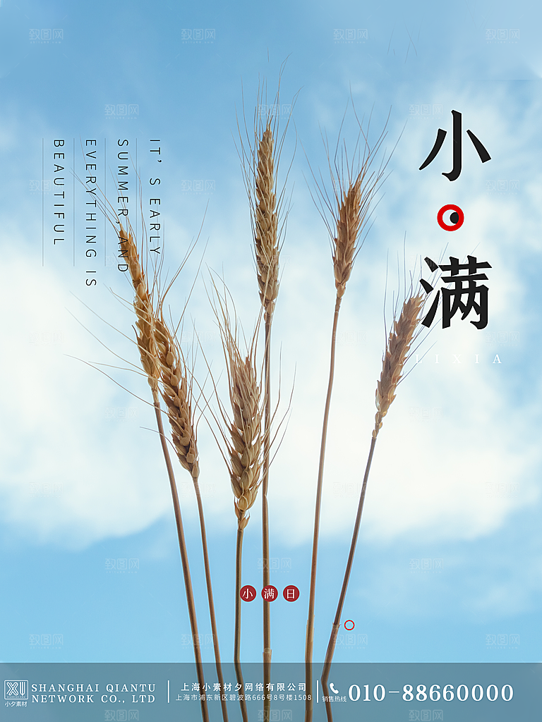 芒种节气简约大气海报