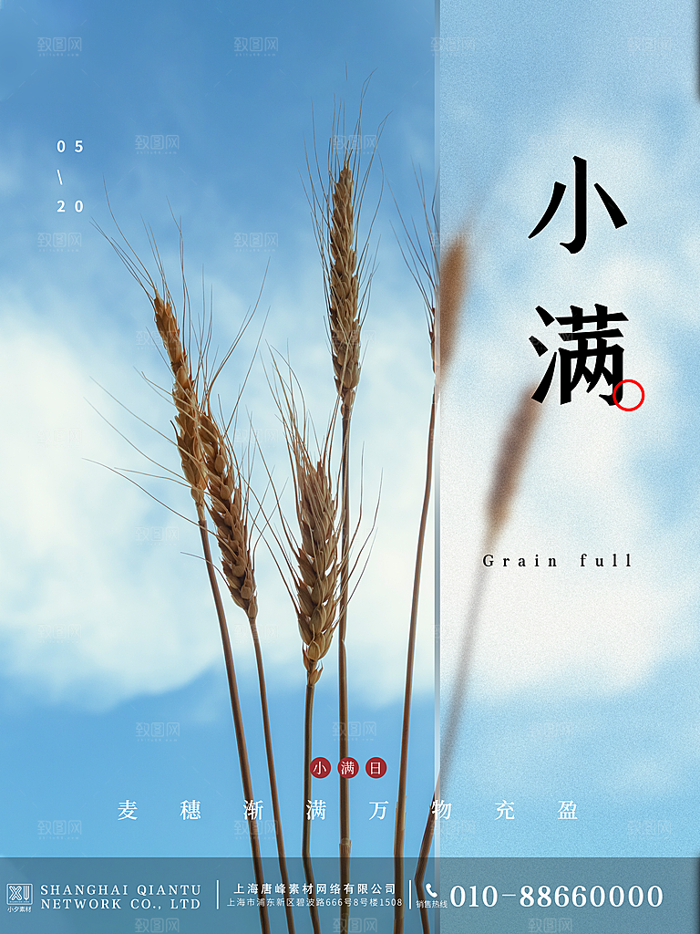 芒种节气简约大气海报