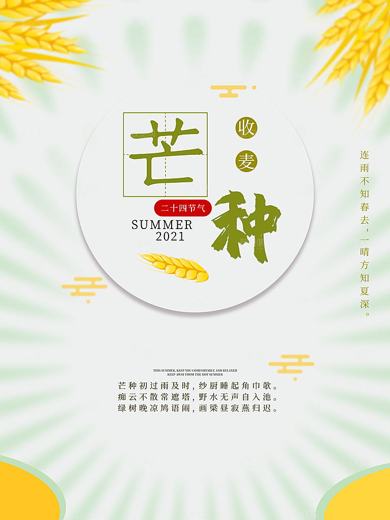 芒种节气简约大气海报