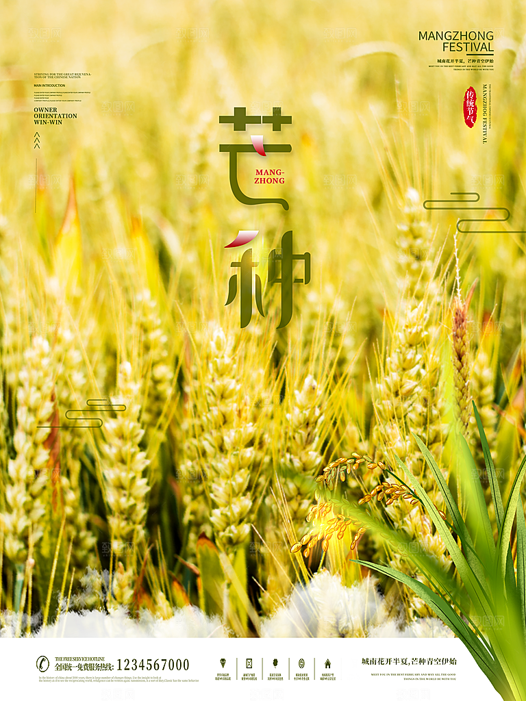 芒种节气简约大气海报