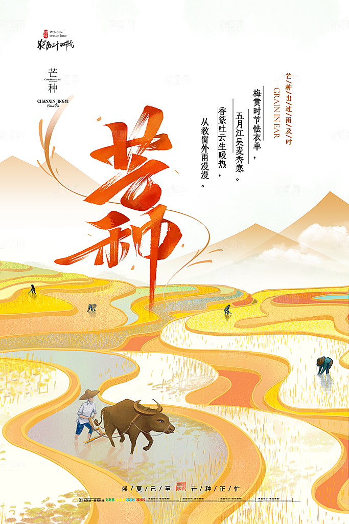 芒种节气简约大气海报