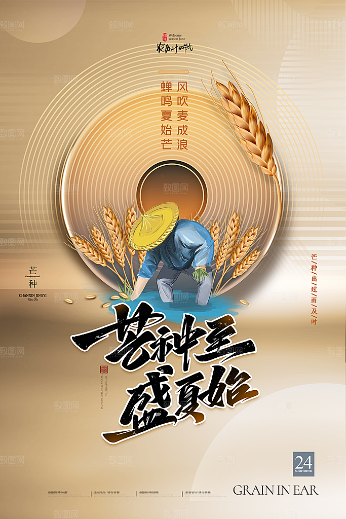 芒种节气简约大气海报