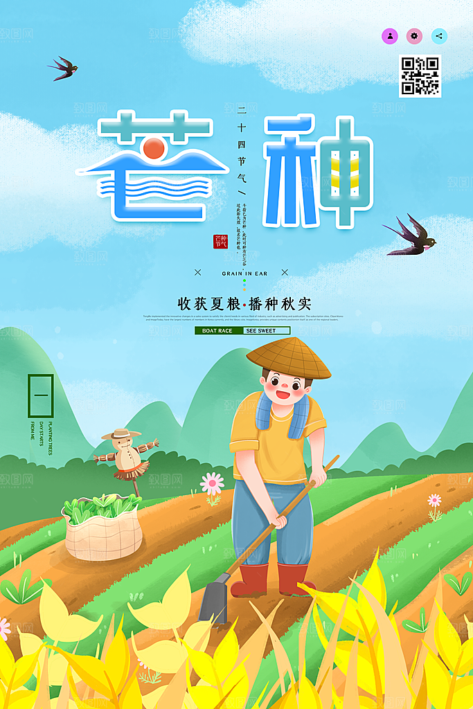 芒种节气简约大气海报