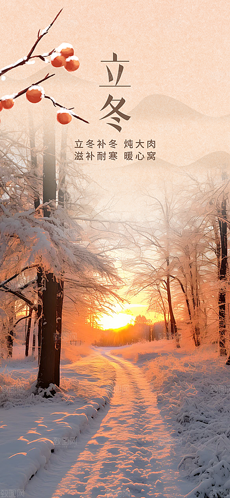 二十四节气立冬活动海报