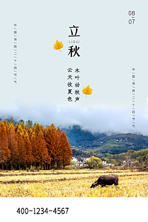 传统节气立秋海报模板