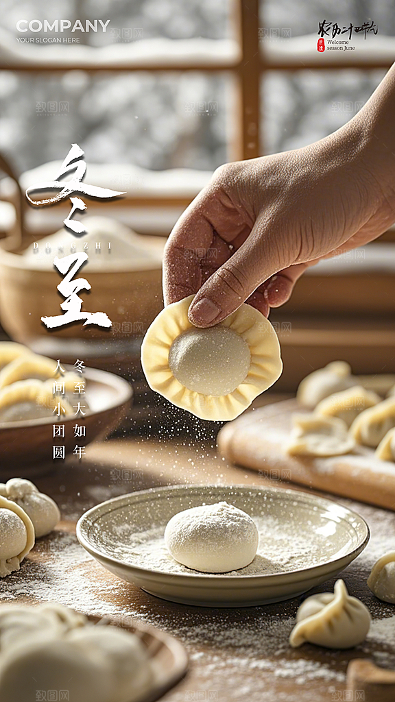 冬至唯美简约节气节日大气插画海报