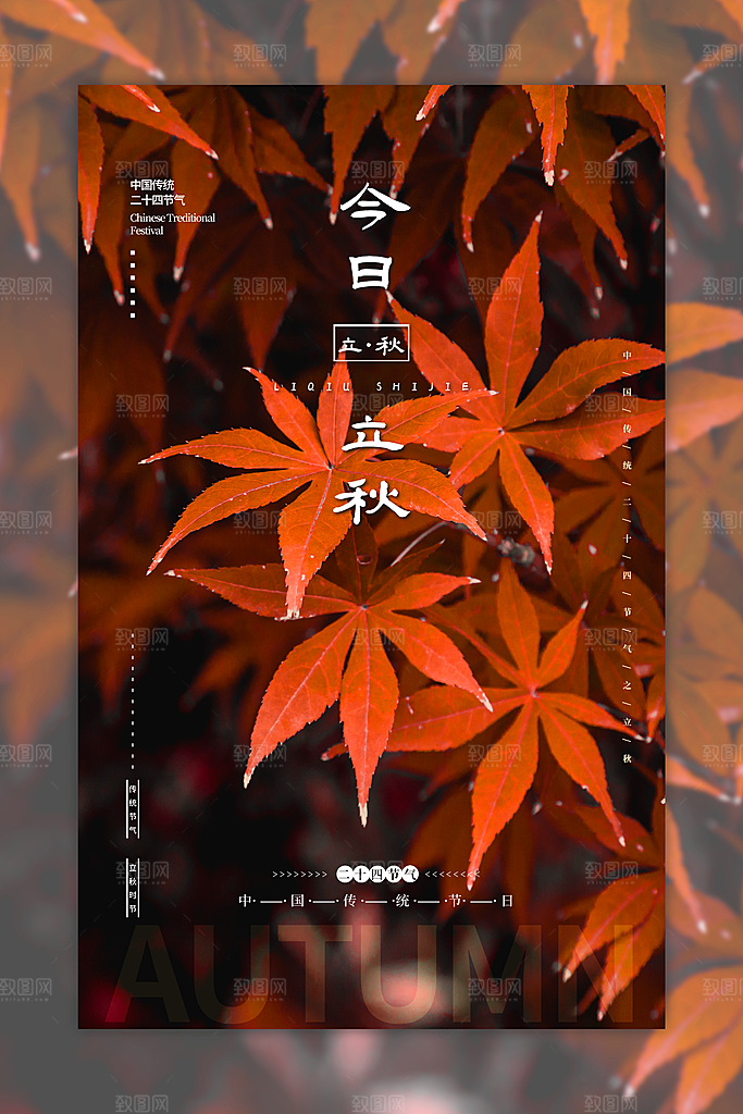 传统节气立秋海报模板