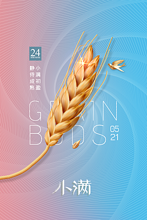 小满节气简约大气海报