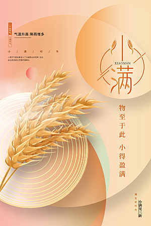小满节气简约大气海报