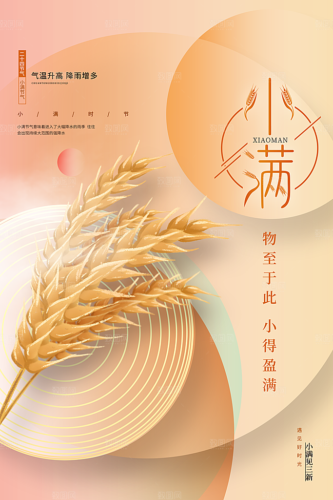 小满节气简约大气海报