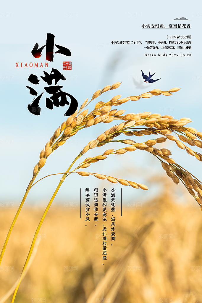 传统节气小满海报模板