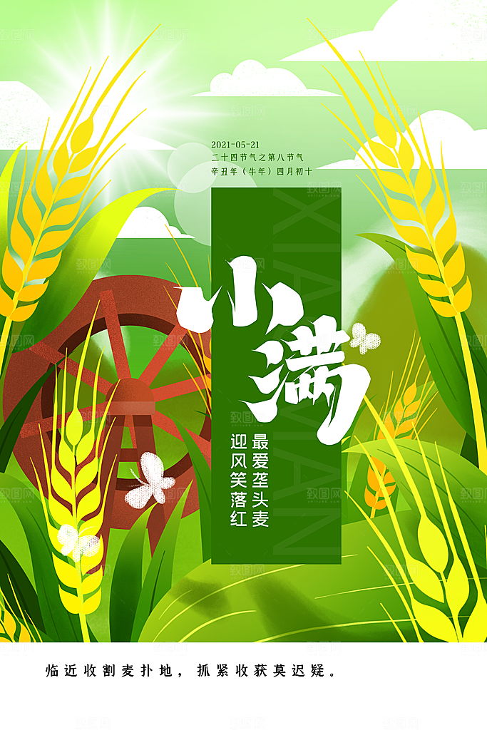 小满节气简约大气海报