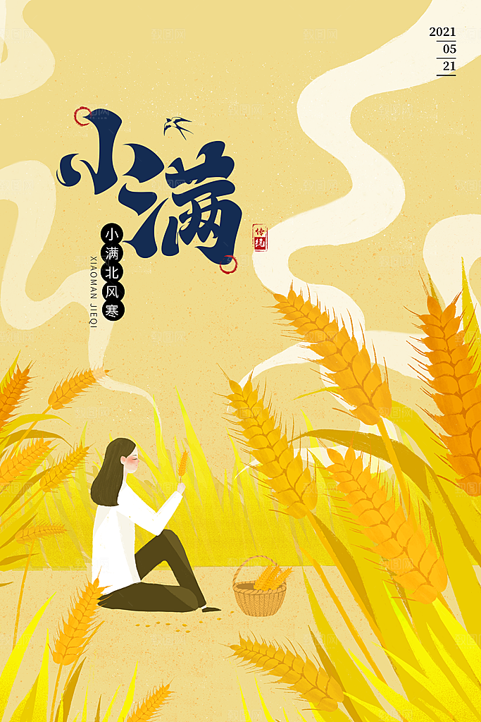 小满节气简约大气海报