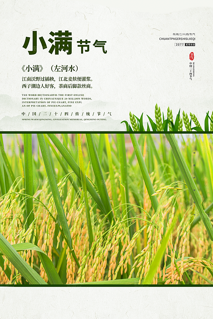 小满节气简约大气海报
