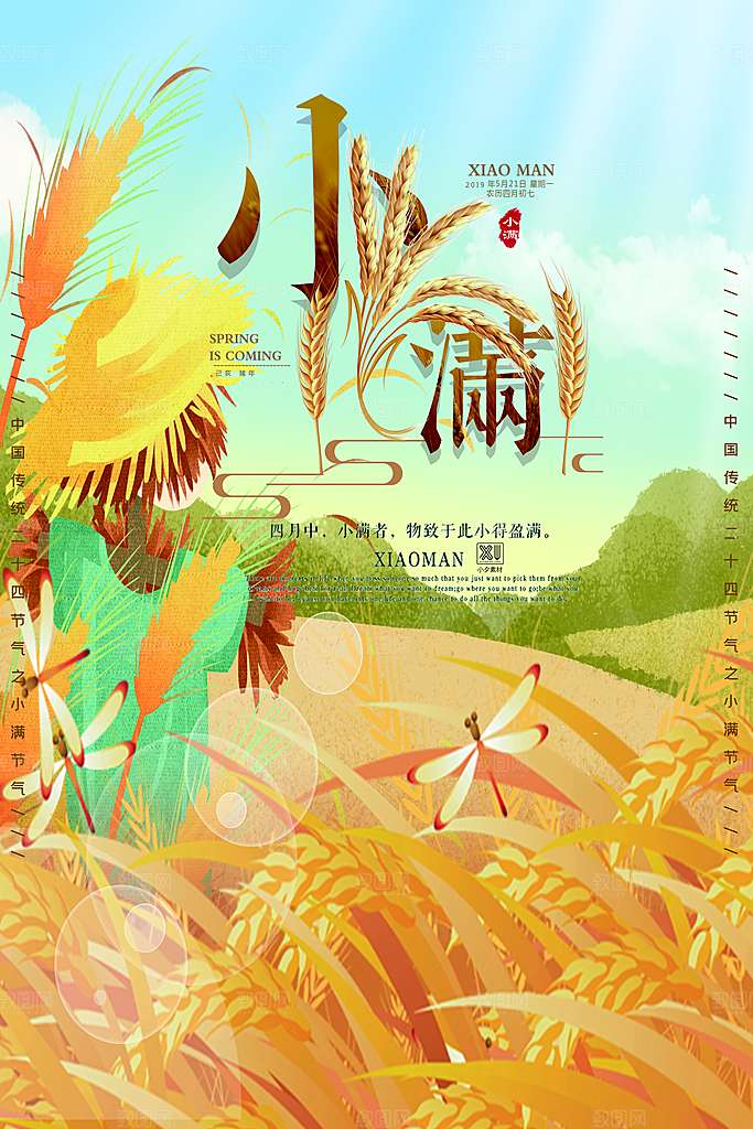 小满节气简约大气海报
